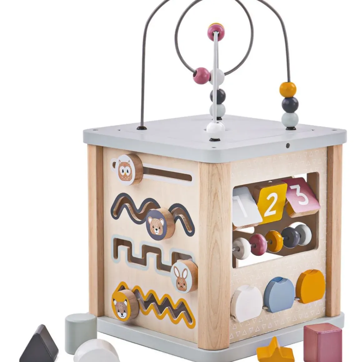 Activity Cube - FSC