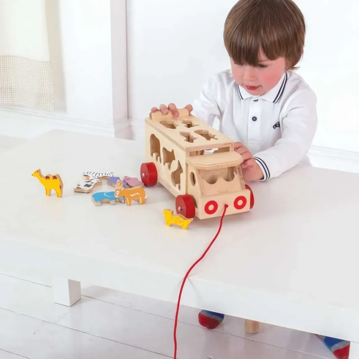 Animal Shape Lorry